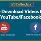 Illustration for article titled How to Free Download Videos from YouTube/Facebookem/em